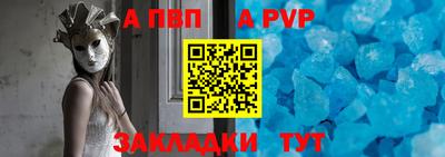 jwh Кингисепп