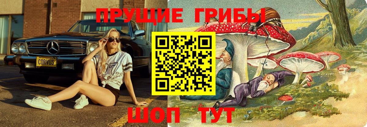 Галлюциногенные грибы прущие грибы  продажа наркотиков  Вход с VPN  Барабинск  Галлюциногенные грибы прущие грибы 